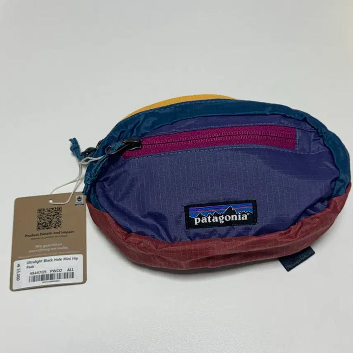 [BUNJANG] Patagonia Mini Hip Pack (1L) / 파타고니아 미니 힙색