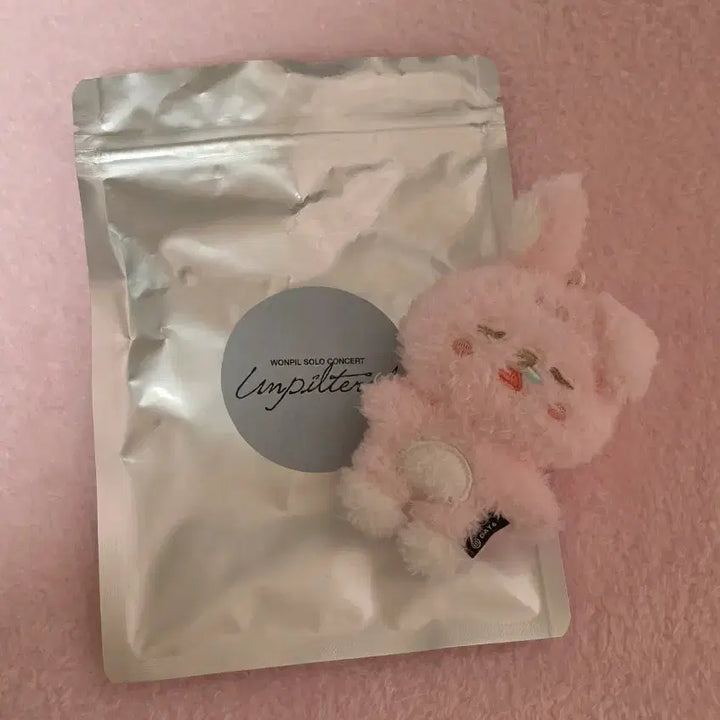 [SOLD OUT] 데이식스 원필 솔콘 MD 굿즈 시크릿 미니 플러시 키링 쿨쿨필끼