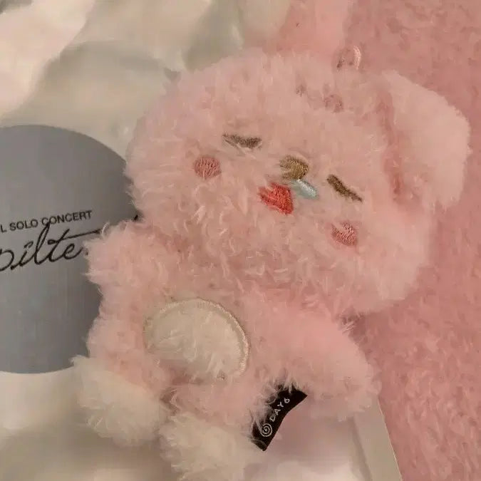 [SOLD OUT] 데이식스 원필 솔콘 MD 굿즈 시크릿 미니 플러시 키링 쿨쿨필끼