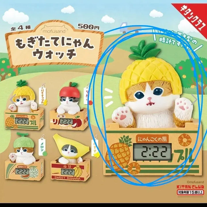 [BUNJANG] Mofusand Fruit Box Clock Gacha Figure / 모프샌드 과일상자 시계 가챠 피규어 모후샌드 고양이 굿즈