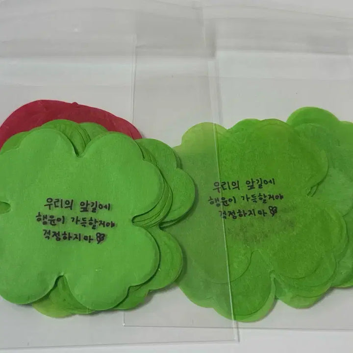 [SOLD OUT] 데이식스 원필 솔로콘서트 솔콘 컨페티 네잎 클로버 60장이상 장미 컨페티