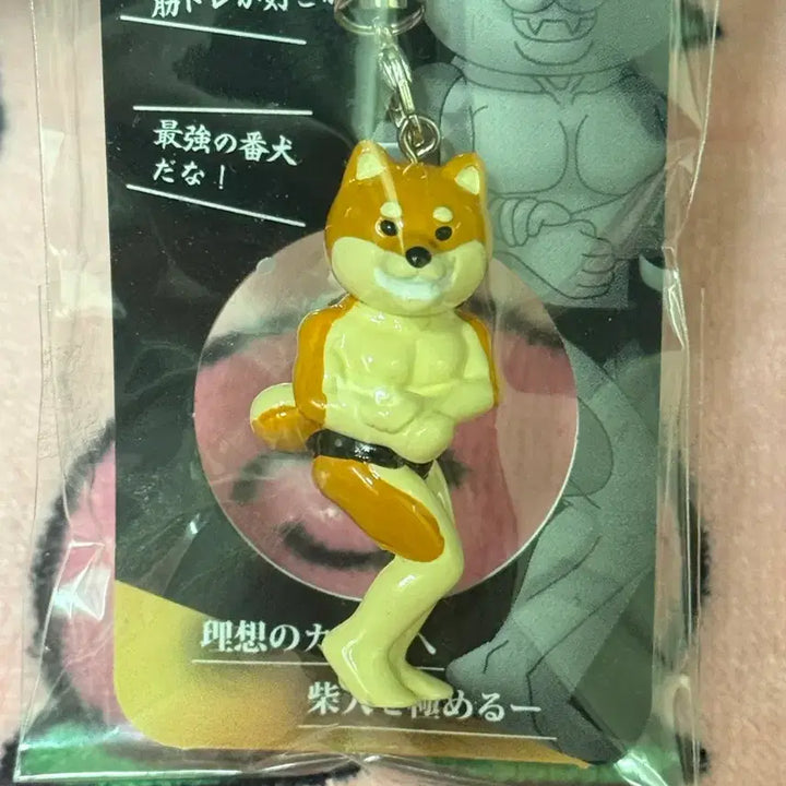 [BUNJANG] Rare Shiba Inu Weightlifting Keychain / 일본레어탬) 시바견 헬스 포징하는 키링
