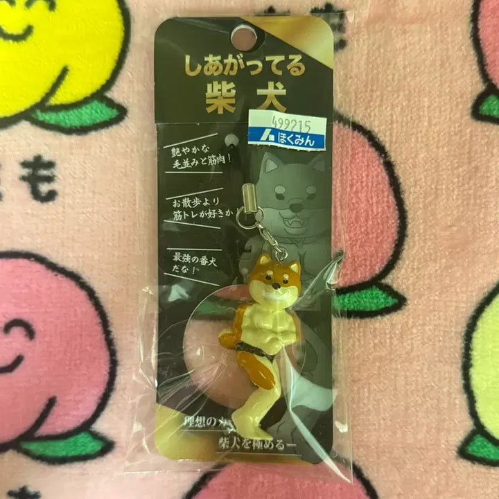 [BUNJANG] Rare Shiba Inu Weightlifting Keychain / 일본레어탬) 시바견 헬스 포징하는 키링