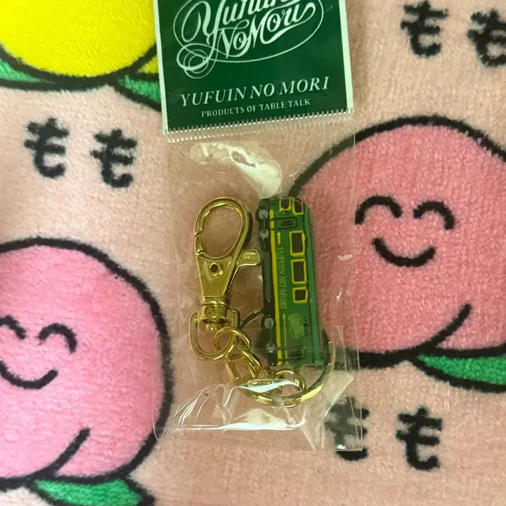 [BUNJANG] Yufuin Nomori Train Limited Edition Keyring / 일본 유후인 한정)유후인 노모리 기차 키링