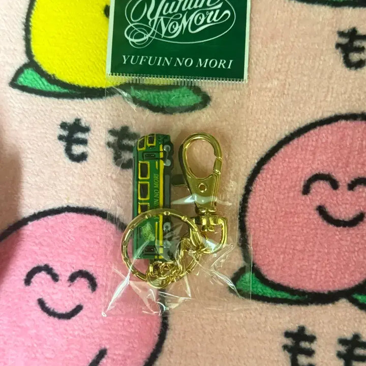 [BUNJANG] Yufuin Nomori Train Limited Edition Keyring / 일본 유후인 한정)유후인 노모리 기차 키링