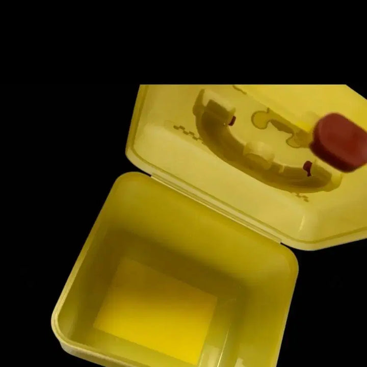 [BUNJANG] Pompompurin Storage Box / 폼폼푸린 수납 보관함