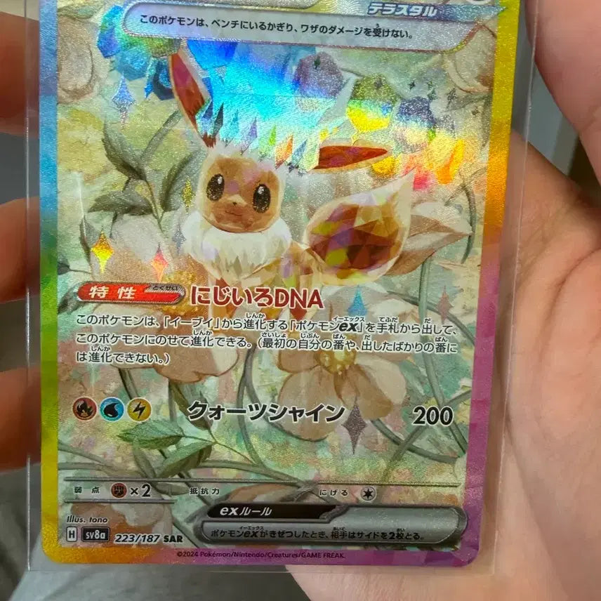 [BUNJANG] Eevee SAR Japanese Edition / 이브이 sar 일판