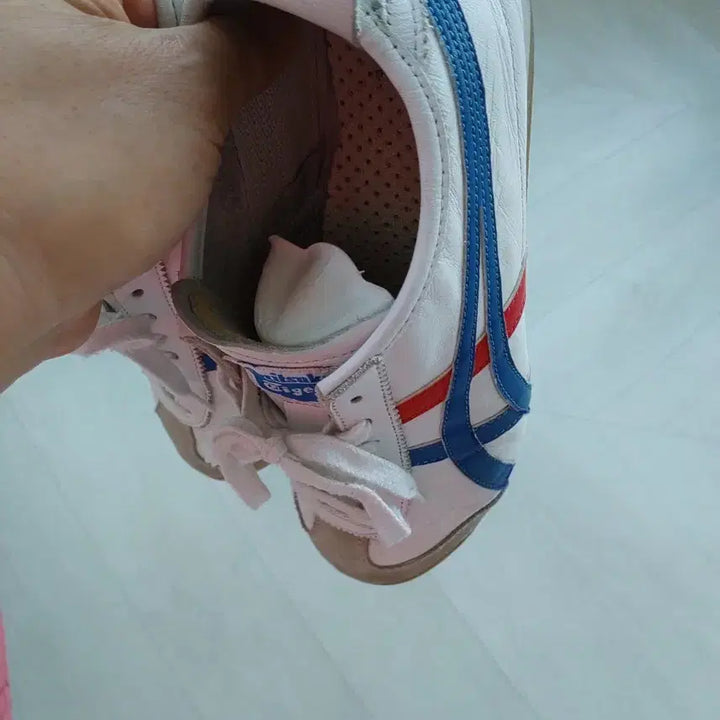 [BUNJANG] Onitsuka Tiger Mexico 66 Red/Blue Sneakers (260mm) / 오니츠카타이거 멕시코 66 빨강/블루 260