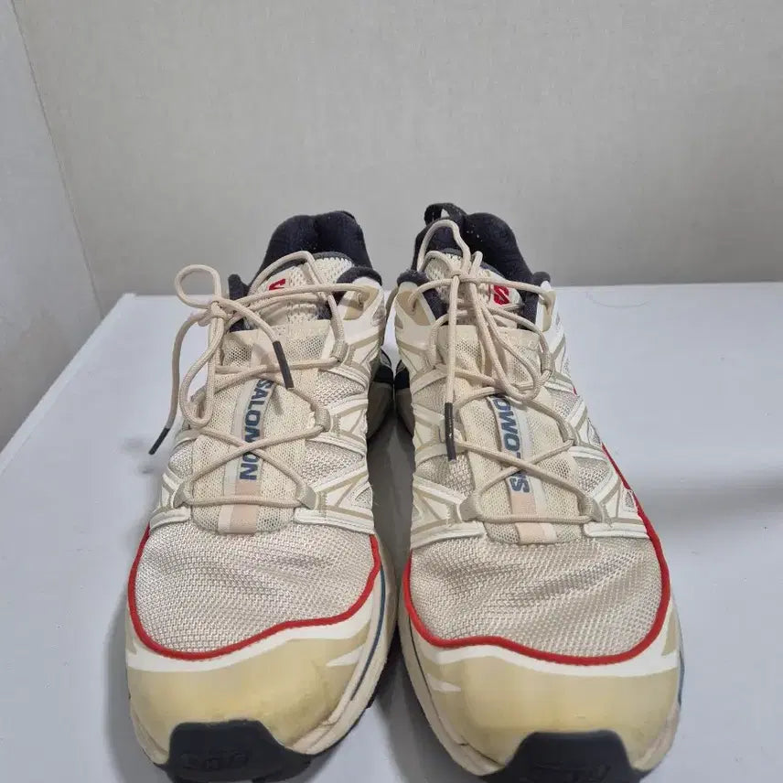 [BUNJANG] Salomon Trail Running Shoes / 살로몬 운동화 280