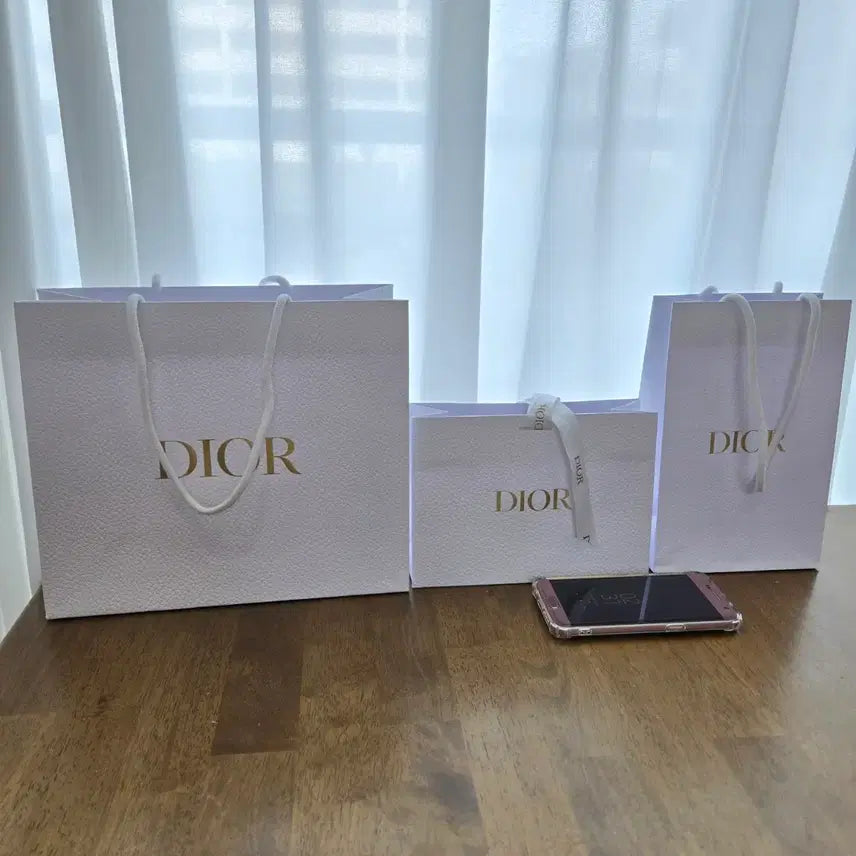 [BUNJANG] Dior Paper Bag / 디올 종이가방
