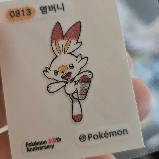 [BUNJANG] Pokemon 30th Anniversary Scorbunny Sticker / 포켓몬 30주년 염버니 띠부씰
