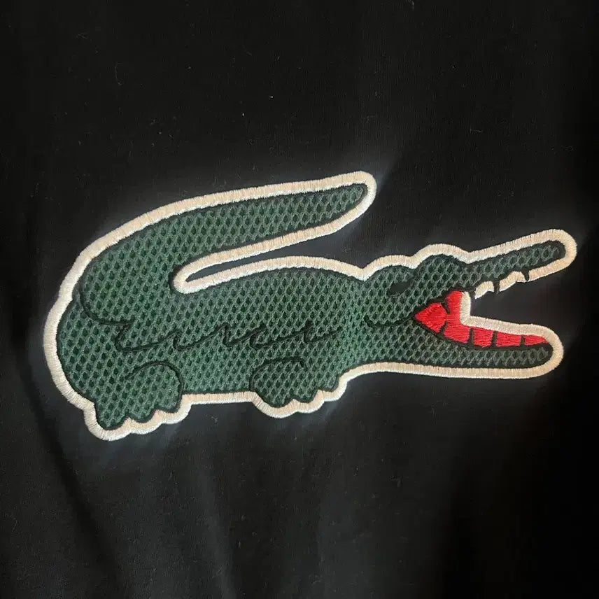 [BUNJANG] Lacoste Original Cotton Short Sleeve T-Shirt XL / 정품 라코스테 반팔 티셔츠 xl