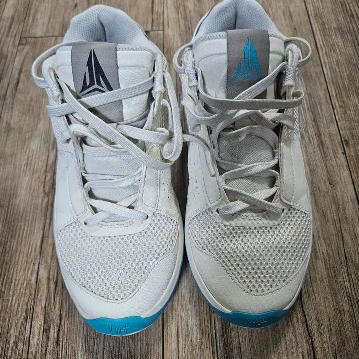 [BUNJANG] JA1 Basketball Shoes Size 250 / JA1 농구화 250사이즈