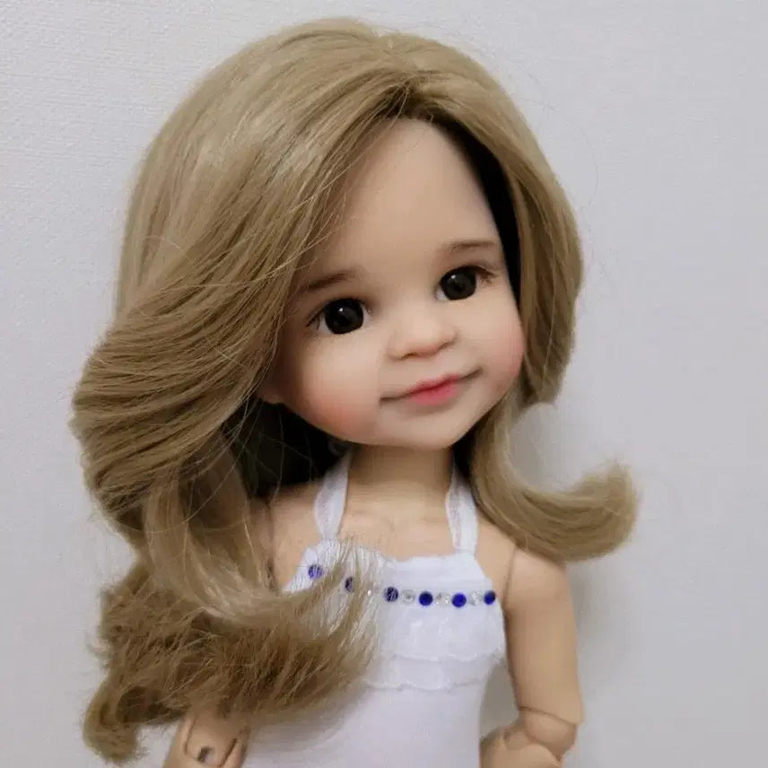 [BUNJANG] Paola Reina Claire Mold Repaint Doll with Wig / 파올라레이나 파올라 레이나 리페 인형