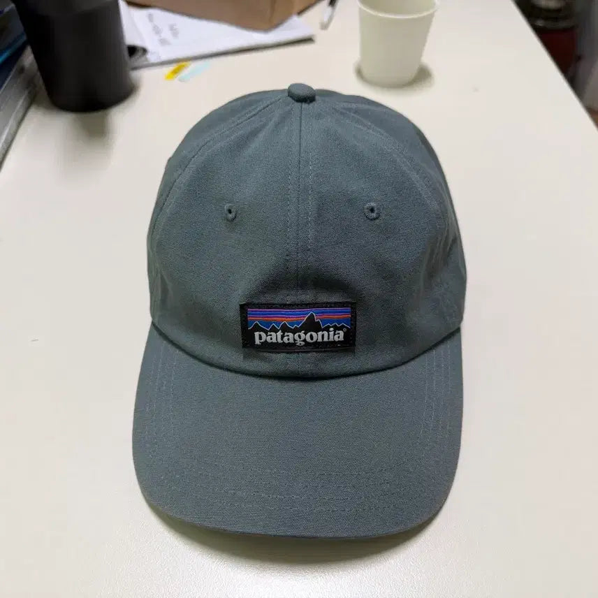 [BUNJANG] Patagonia Gray Ball Cap / 파타고니아 볼캡 모자 회색