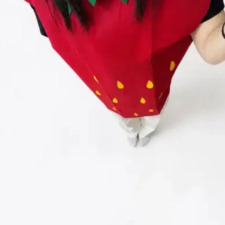 [BUNJANG] Graduation Photo Strawberry Costume Rental / 졸업사진 딸기 대여