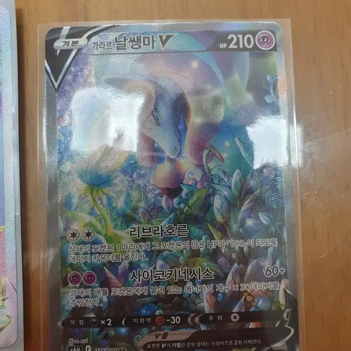 [BUNJANG] Pokemon Card V Bundle Set / 포켓몬카드 v 일괄!!