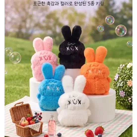 [BUNJANG] Momoi Rabbit Doll Keyring / 모모이 래빗 인형키링 몰랑이캐릭터 작가 신캐릭터
