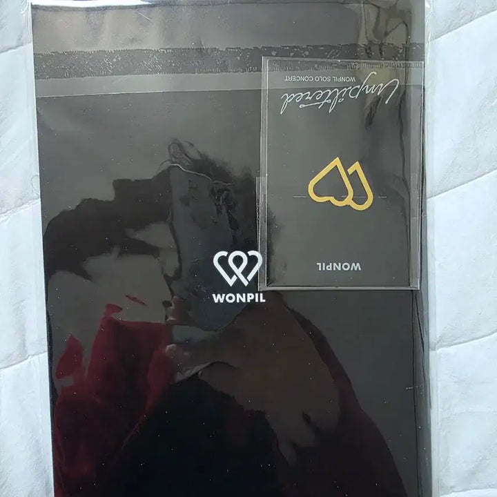 [BUNJANG] DAY6 Young K Unpiltered Records Photobook / 원필 Unpiltered Records 포토북 팬기프트