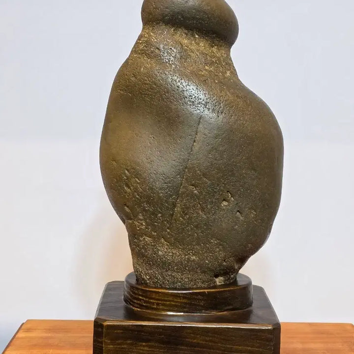 [BUNJANG] Namhan River Fossil Stone - Display Stone / 26050502 남한강 사유석 수석 팝니다