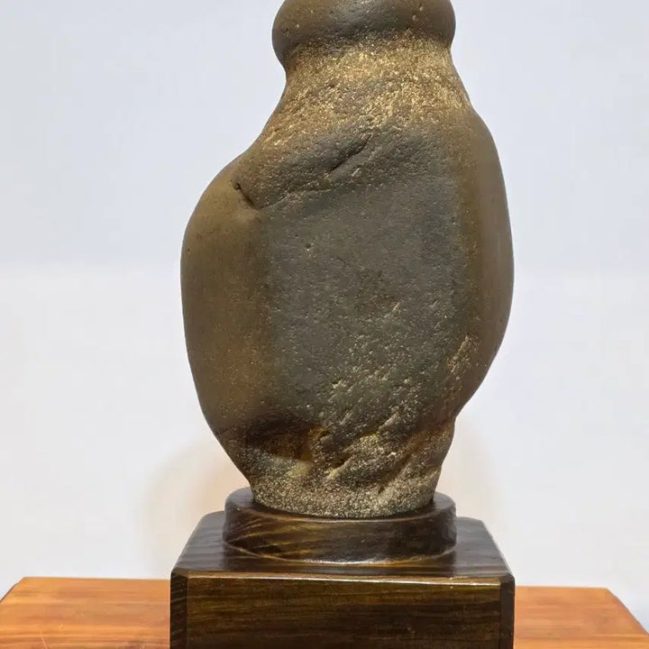 [BUNJANG] Namhan River Fossil Stone - Display Stone / 26050502 남한강 사유석 수석 팝니다