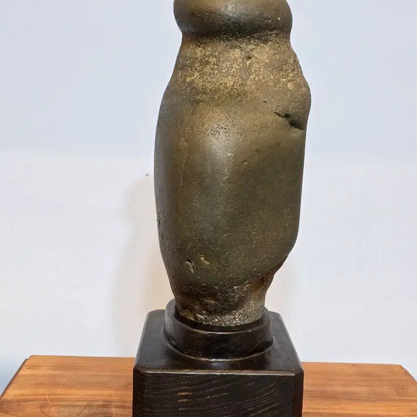 [BUNJANG] Namhan River Fossil Stone - Display Stone / 26050502 남한강 사유석 수석 팝니다