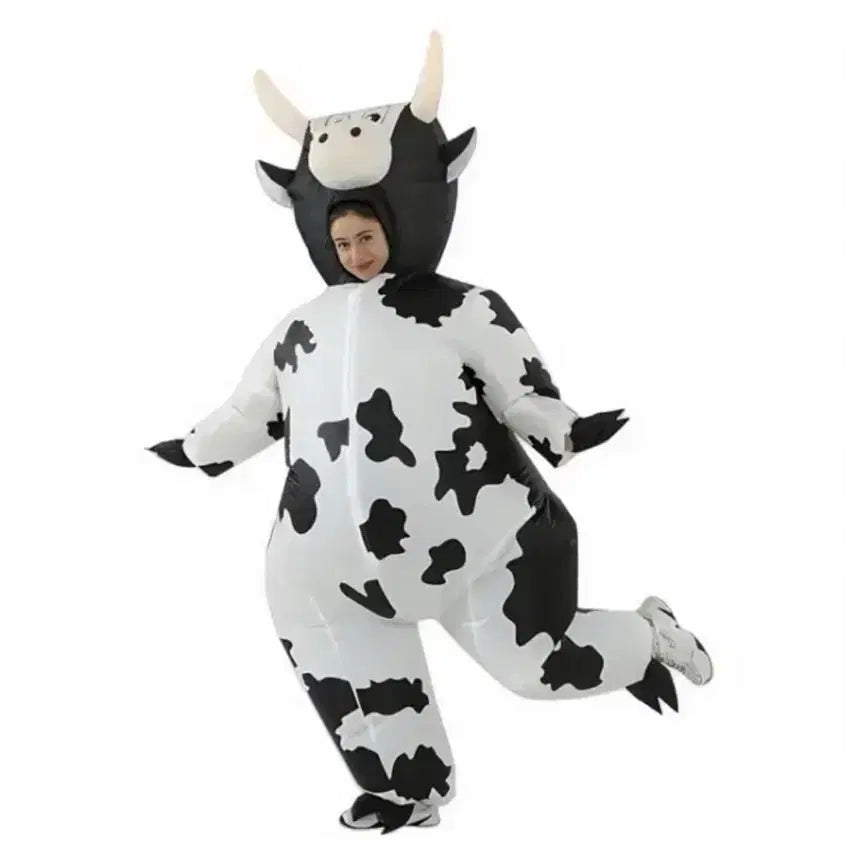 [BUNJANG] Cow Air Suit Rental for Graduation Photos / 젖소 에어슈트 대여