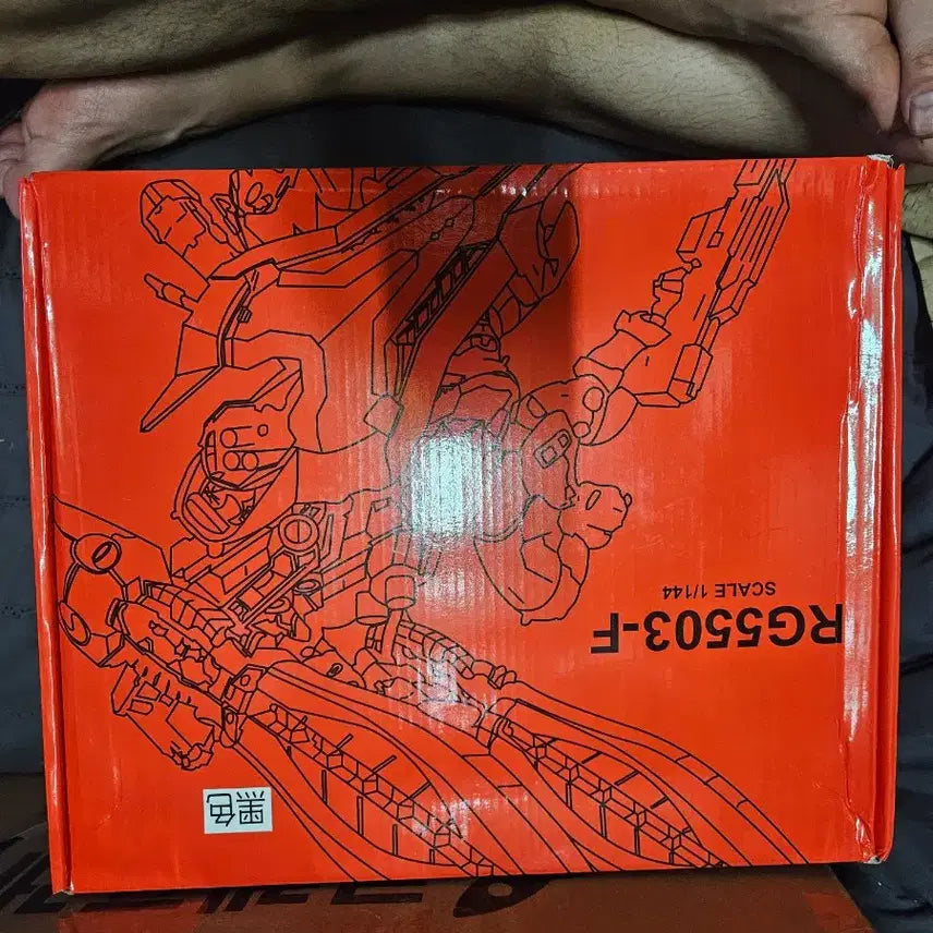 [BUNJANG] Sazabi Black Variant RG 1/144 Model Kit / 사해 RG 후쿠오카 사자비 흑자비 팔아요