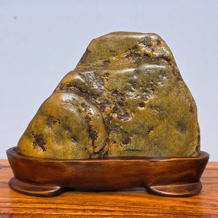 [BUNJANG] Hopi Stone Display Stone / 26050506 순창 호피석 수석 팝니다