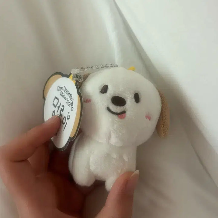 [SOLD OUT] 라이즈 앤톤 1기 멍룡이 판매 (단순전시)