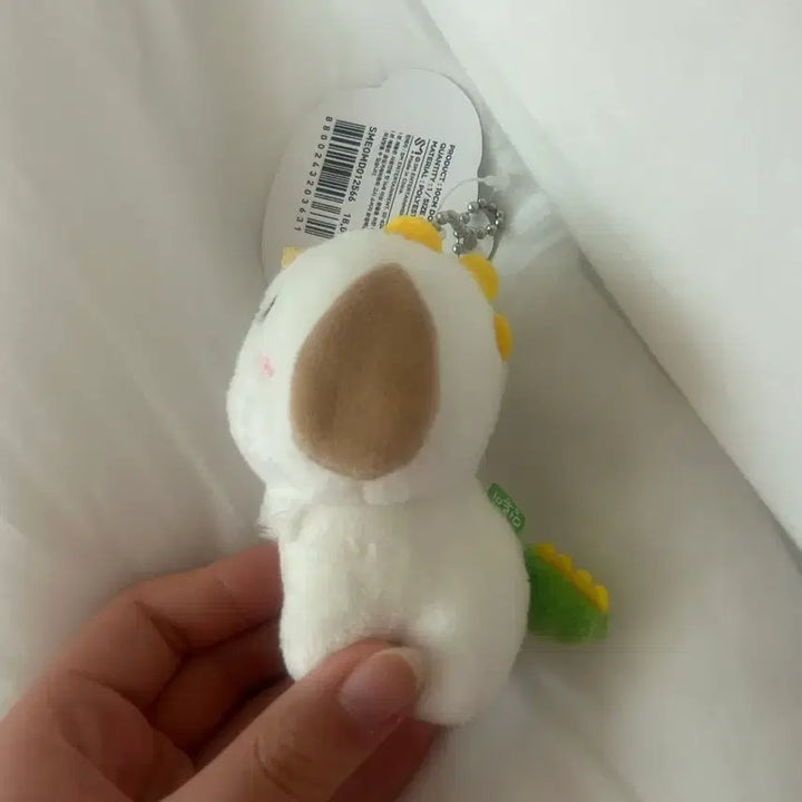 [SOLD OUT] 라이즈 앤톤 1기 멍룡이 판매 (단순전시)