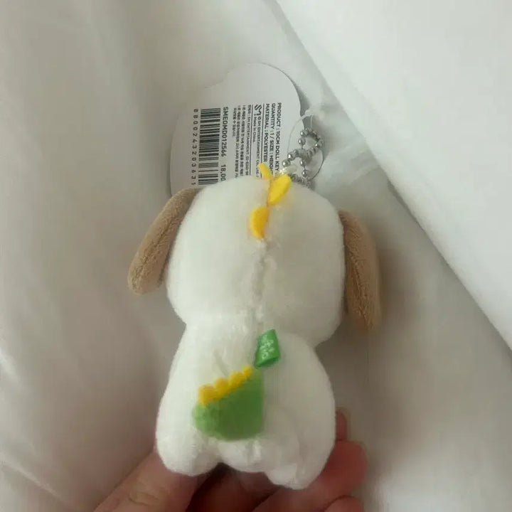 [SOLD OUT] 라이즈 앤톤 1기 멍룡이 판매 (단순전시)