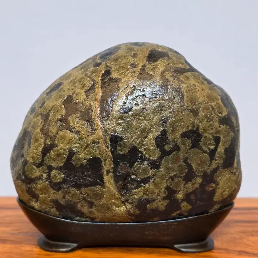 [BUNJANG] Large Wooden Pattern Stone / 26050507 커다란 나무 문양 해석 수석 팝니다