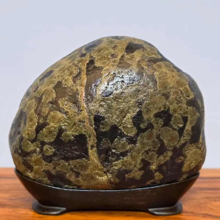 [BUNJANG] Large Wooden Pattern Stone / 26050507 커다란 나무 문양 해석 수석 팝니다