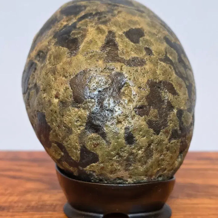 [BUNJANG] Large Wooden Pattern Stone / 26050507 커다란 나무 문양 해석 수석 팝니다