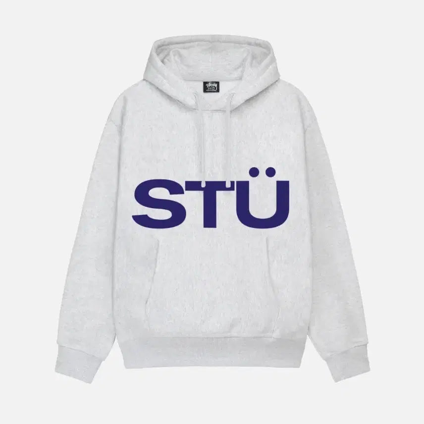 [BUNJANG] Stussy Hooded Sweatshirt Ash Heather M / 스투시 후드티