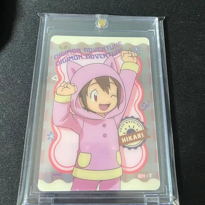 [BUNJANG] Digimon Adventure Hikari Card / 디지몬 어드벤쳐 히카리 카드