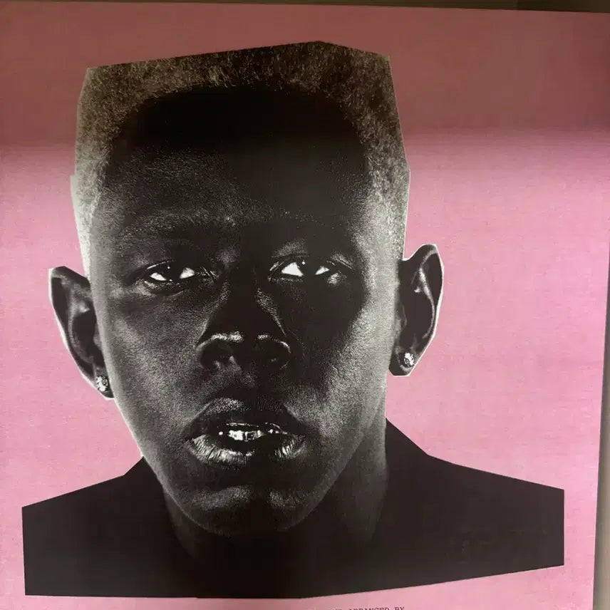 [BUNJANG] Tyler the Creator IGOR Vinyl Record LP / Tyler the Creator IGOR 바이닐 레코드 lp