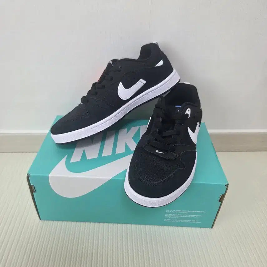 [SOLD OUT] 정품,새상품)나이키 SB ALLEYOOP. 250mm
