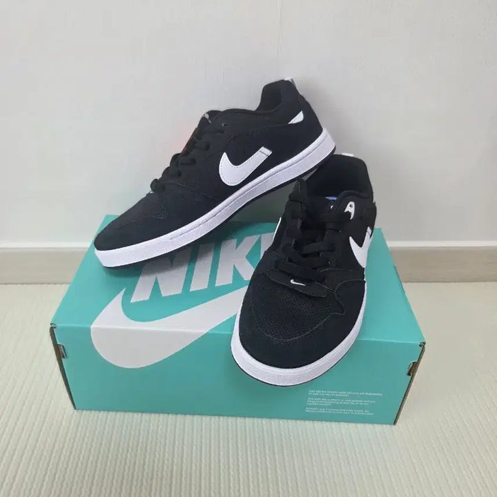 [SOLD OUT] 정품,새상품)나이키 SB ALLEYOOP. 250mm