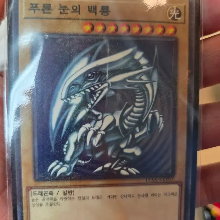 [BUNJANG] Yu-Gi-Oh! Blue-Eyes White Dragon Card / 유희왕 푸른 눈의 백룡 카드