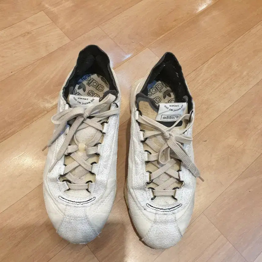 [BUNJANG] Adidas Trekking Shoes (250mm) / 아디다스트레킹화