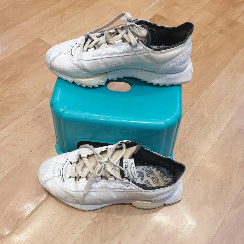 [BUNJANG] Adidas Trekking Shoes (250mm) / 아디다스트레킹화