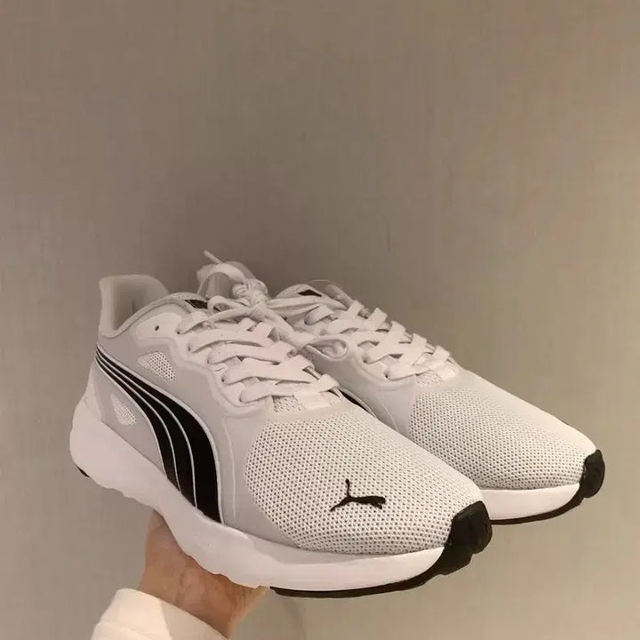 [BUNJANG] Puma FlexFocus Lite Modern Running Shoes / 푸마 FlexFocus Lite Modern 러닝화
