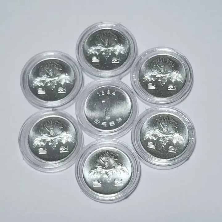 [BUNJANG] 1984 1 Won Coin Bundle Set (10 pieces) / 1984년    1원   7개 일괄