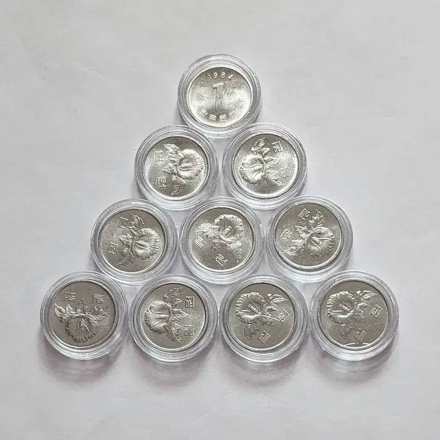 [BUNJANG] 1984 1 Won Coin Bundle (Special Year) / 1984년  1원 주화                10개 일괄 (특년도)