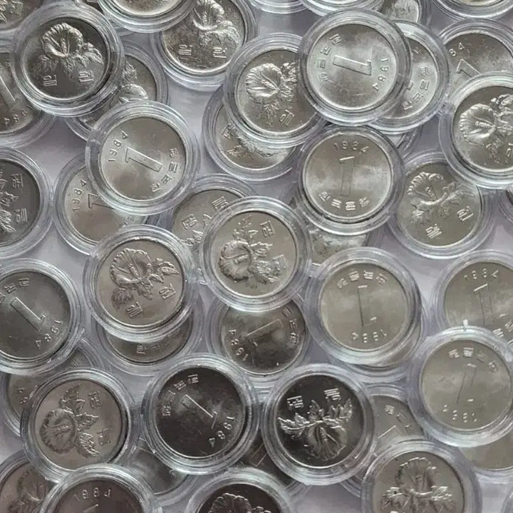 [BUNJANG] 1984 1 Won Coin Bundle (Special Year) / 1984년  1원 주화                10개 일괄 (특년도)