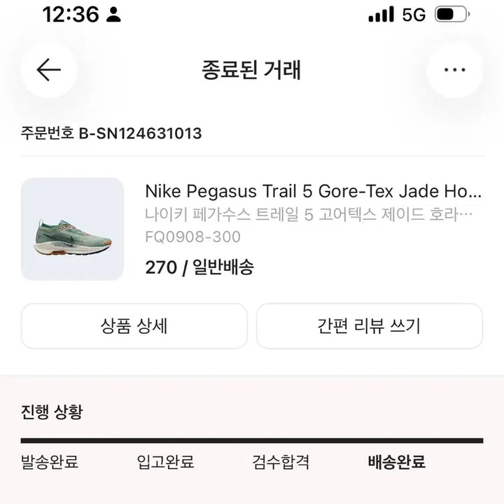 [BUNJANG] Nike Pegasus Trail 5 GORE-TEX Jade Horizon/Vast Grey/Byron Bay / 나이키 페가수스 트레일 5 고어텍스 제이드 호라이즌 바이코스탈 270
