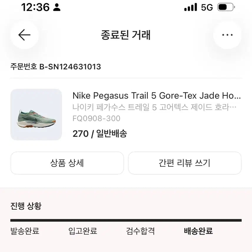 [BUNJANG] Nike Pegasus Trail 5 GORE-TEX Jade Horizon/Vast Grey/Byron Bay / 나이키 페가수스 트레일 5 고어텍스 제이드 호라이즌 바이코스탈 270