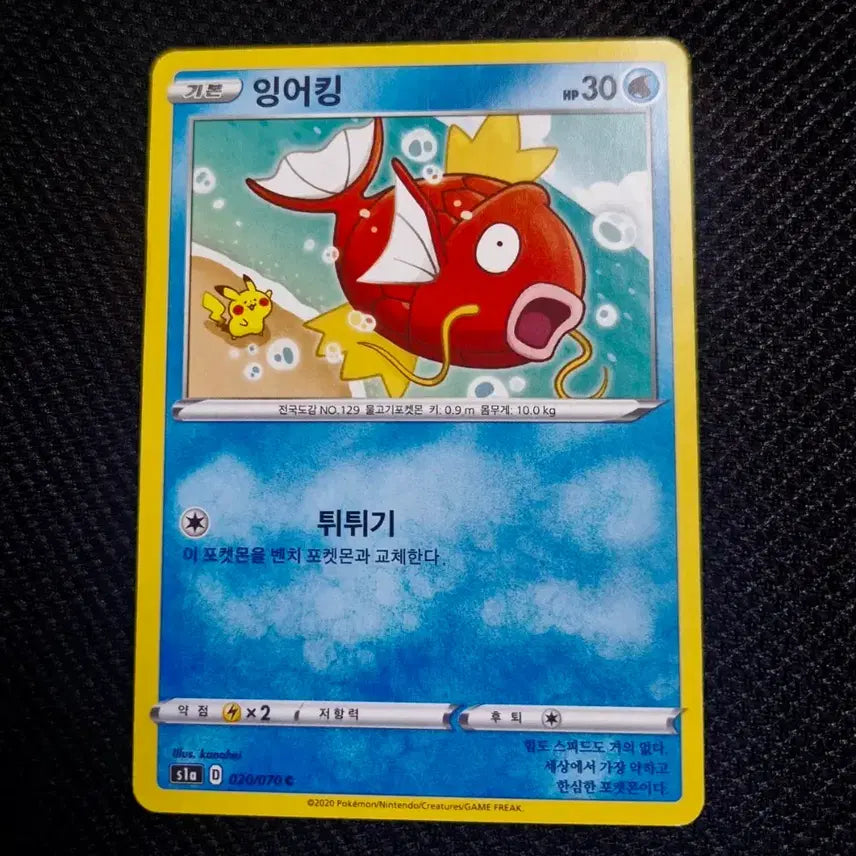 [BUNJANG] Pokemon Card Magikarp (s1a 020/070 C) by Kanahei / 포켓몬 카드 잉어킹 (Magikarp)